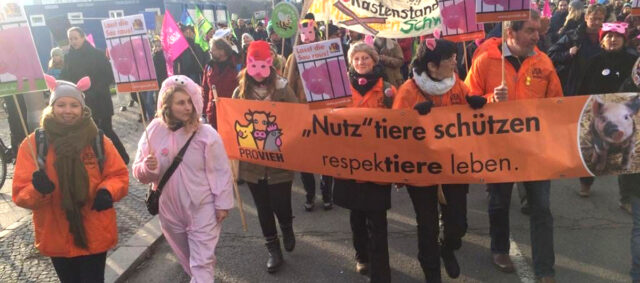 PROVIEH demonstriert für den Schutz landwirtschaftlicher genutzter Tiere