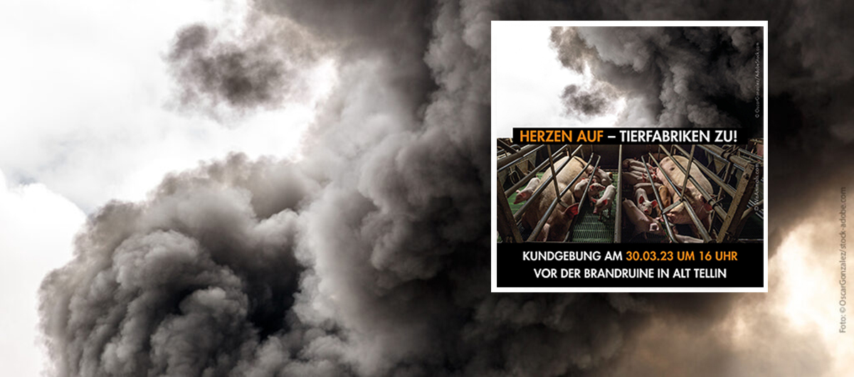 Oscar Rauch Protestkundgebung: Herzen auf – Tierfabriken zu! | PROVIEH