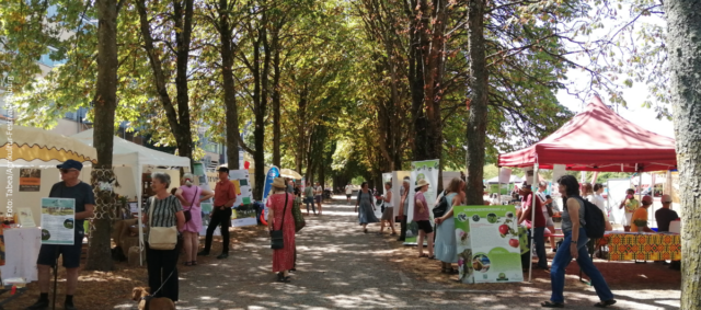 Infostände Freiburg Festival
