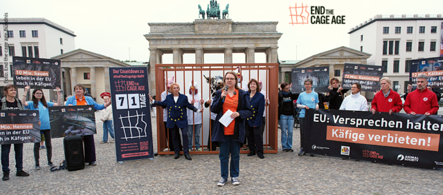 titelbild aktion berlin end the cage age